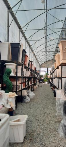 عکس گلهای یزدان