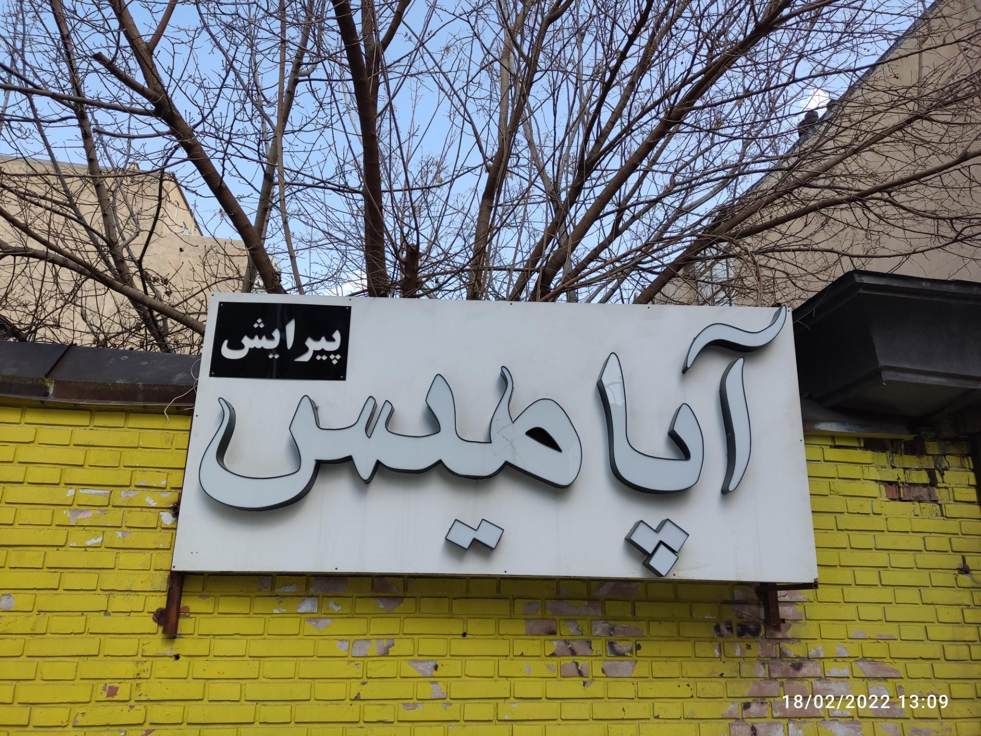 عکس پیرایش آپامیس