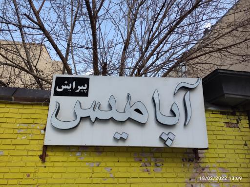 عکس پیرایش آپامیس