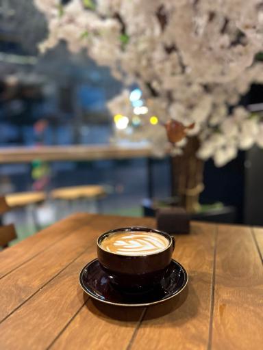 عکس کافه جردن 