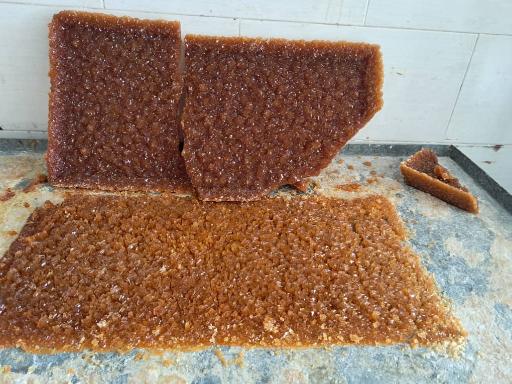 عکس برادران گله بچه 