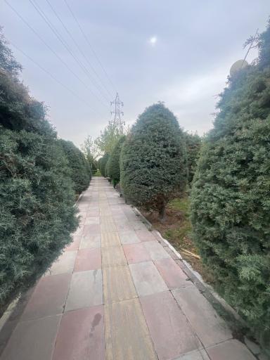 عکس بوستان مادر