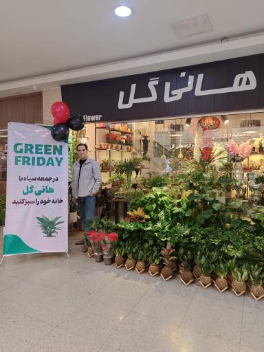 عکس گل آپارتمانی هانی گل