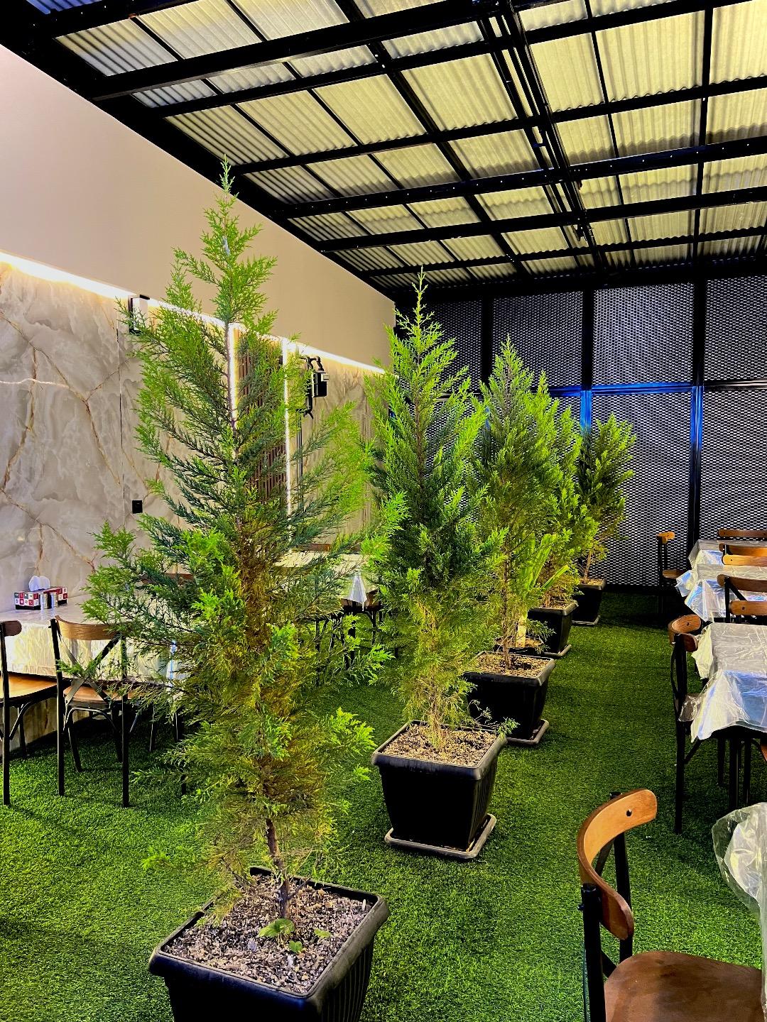 عکس کباب سرای میراث