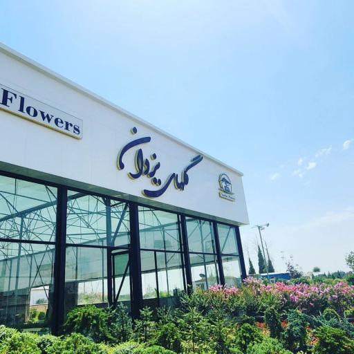 عکس گلهای یزدان