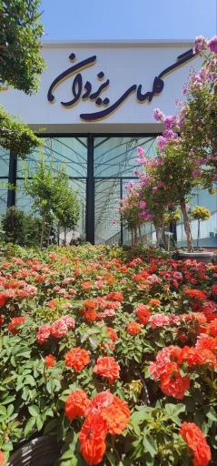 عکس گلهای یزدان