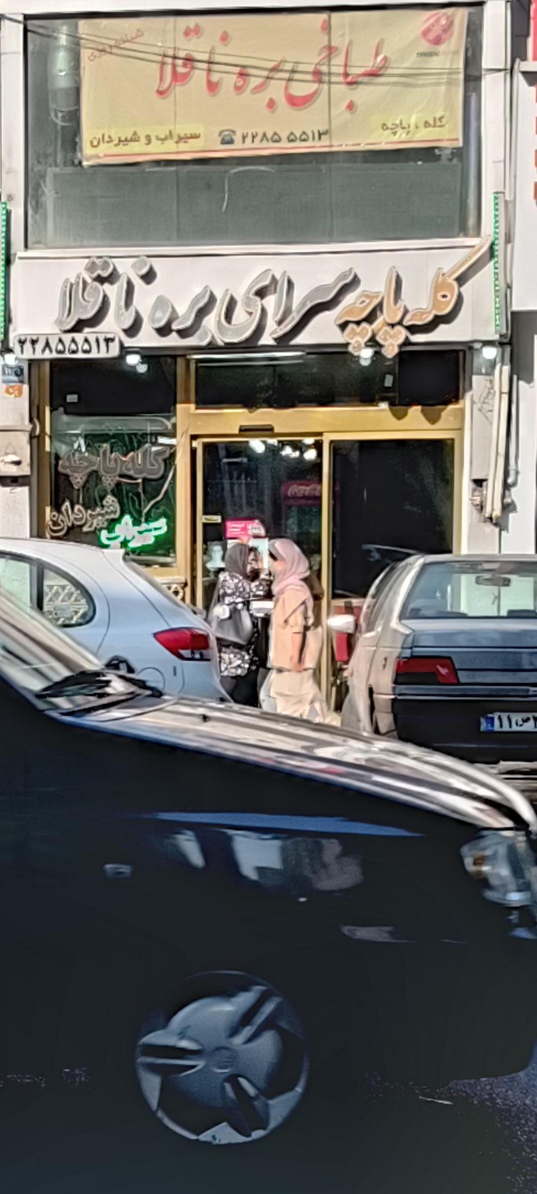 عکس طباخی بره ناقلا