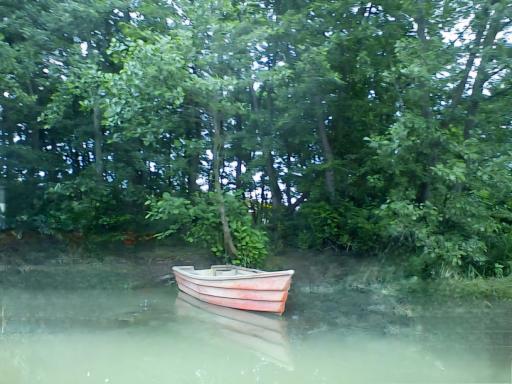 عکس تالاب و مرداب نشتارود