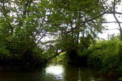 عکس تالاب و مرداب نشتارود