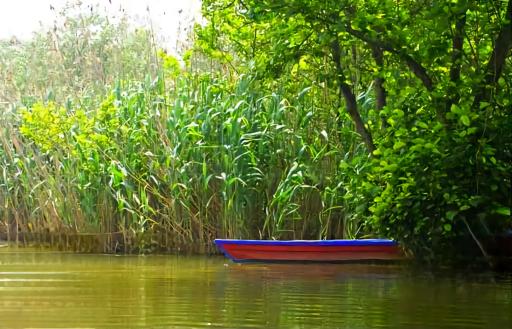 عکس تالاب و مرداب نشتارود