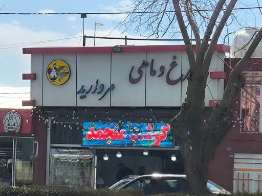 عکس مرغ و ماهی مروارید