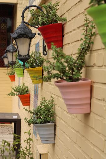 عکس کافه سمراء