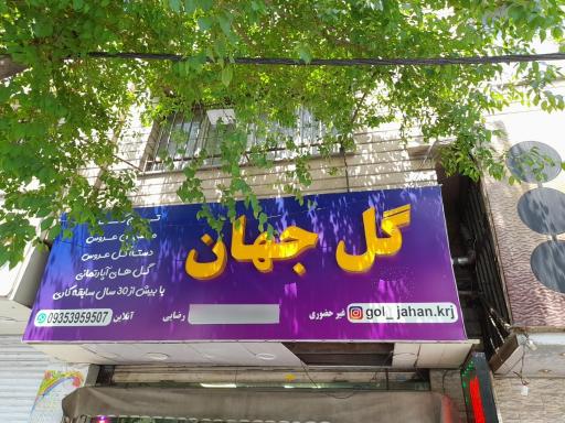 عکس گل جهان