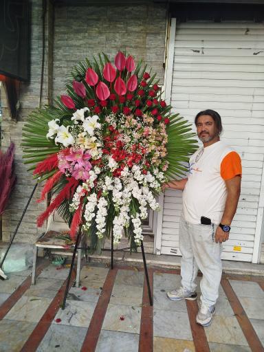 عکس گل جهان