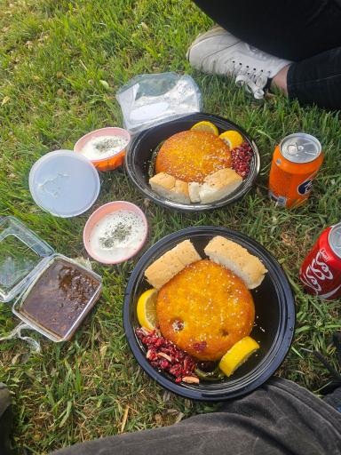 عکس ته چین درباری