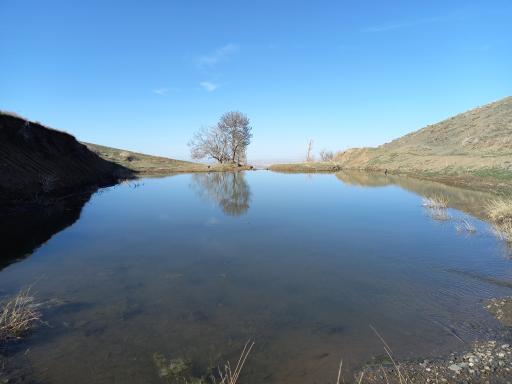 عکس دره گرگ