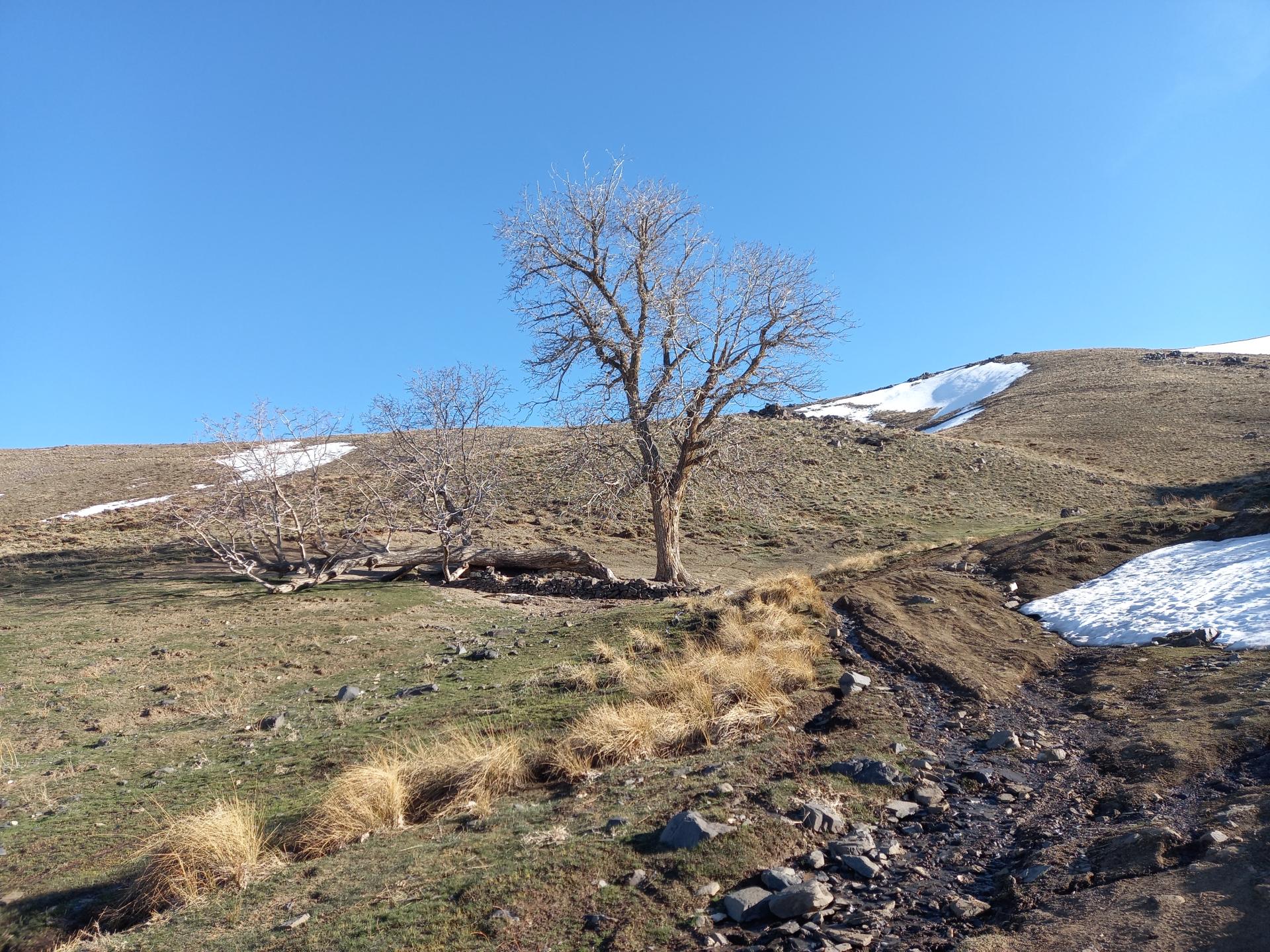 عکس دره گرگ