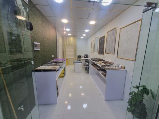 عکس دکو رایکو