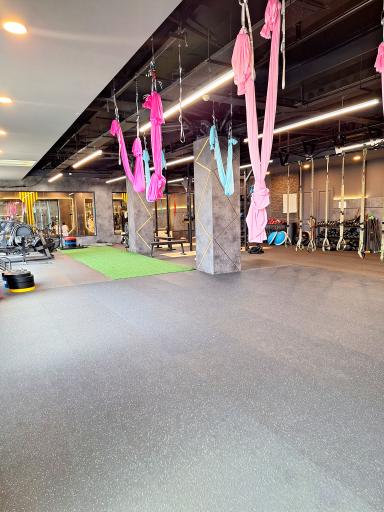 عکس باشگاه ورزشی رویین‌تنان