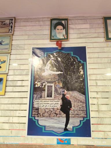 عکس باشگاه هالا مرکزی
