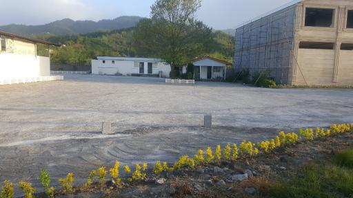 عکس کارخانه چایسازی قلم چای گیلان