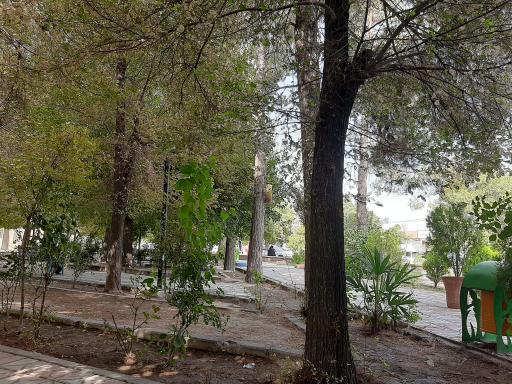 عکس پارک کتاب