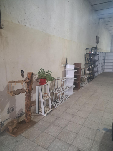 عکس دکوراسیون باقری