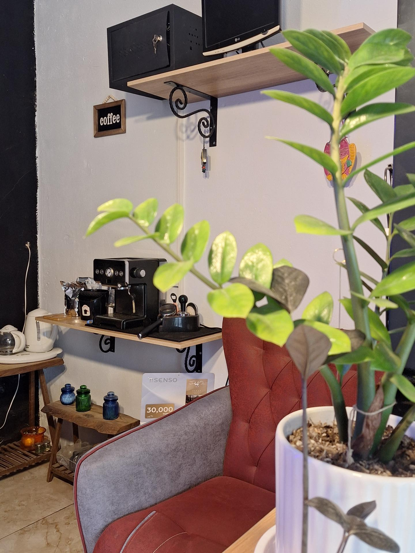 عکس دخانیات زیگ زاگ