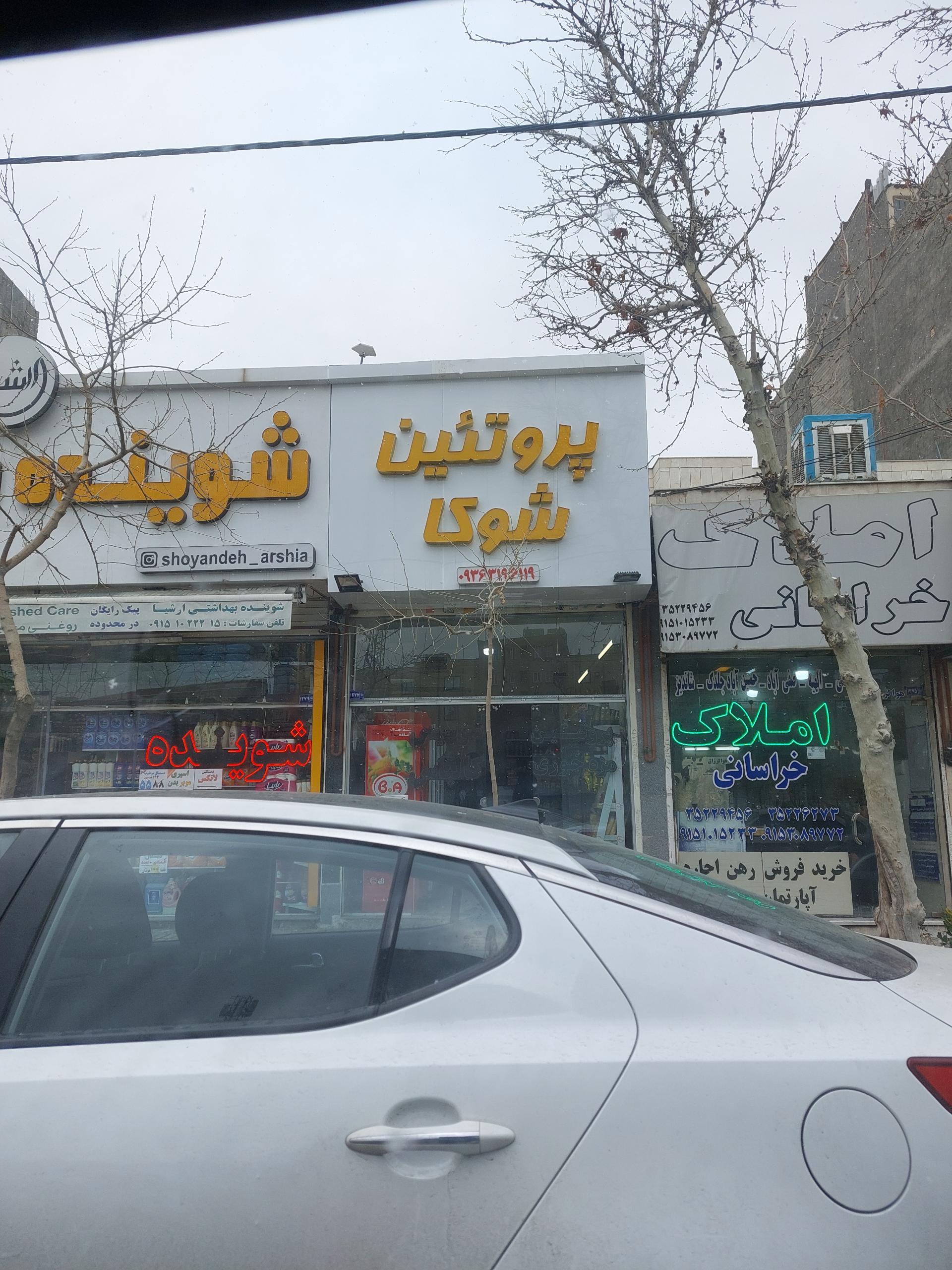 عکس پروتئین شوکا