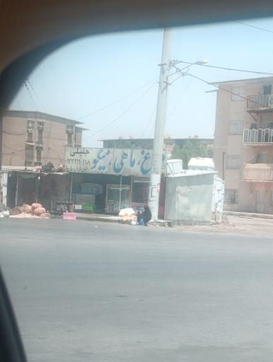 عکس مرغ ماهی میگو جلیلی