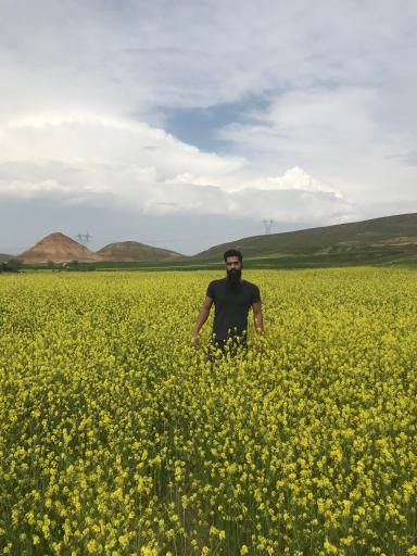 عکس دولت آباد