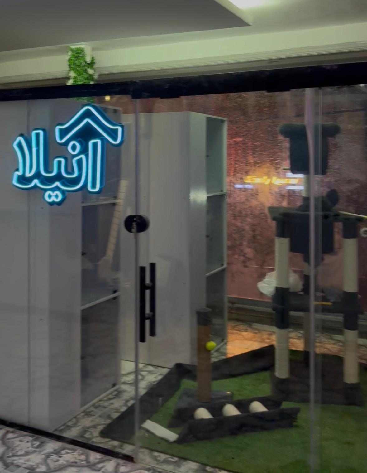 عکس پانسیون تخصصی گربه آنیلا