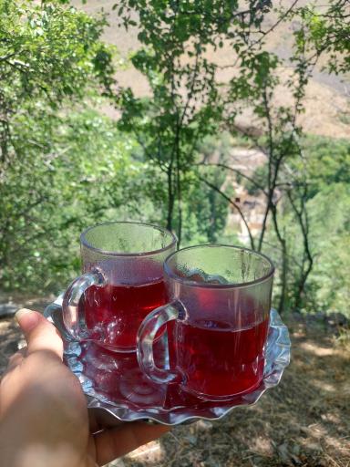 عکس دولت آباد