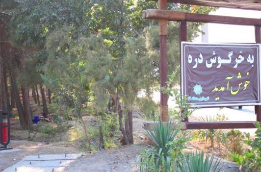 عکس بوستان جنگلی خرگوش دره