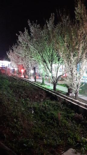 عکس تفرجگاه ائل باغی