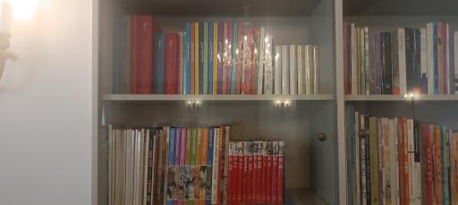 عکس کاخ موزه احمد شاهی