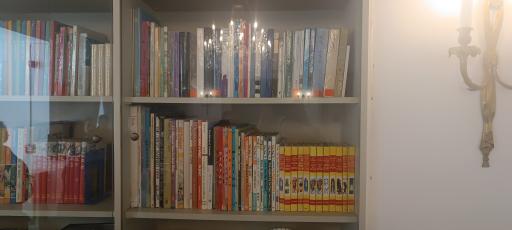 کاخ موزه احمد شاهی