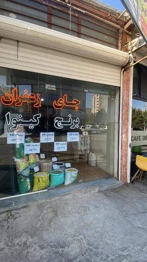 عکس چای و برنج پیرمحمدی