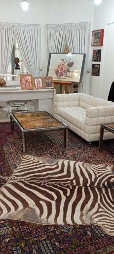 عکس کاخ موزه احمد شاهی