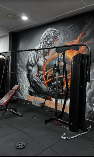 عکس باشگاه بدنسازی میلان