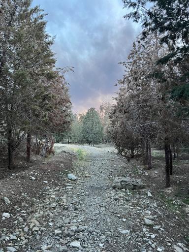 عکس بوستان جنگلی خرگوش دره