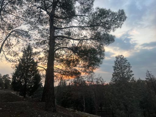 عکس بوستان جنگلی خرگوش دره
