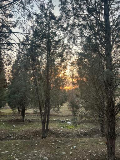 عکس بوستان جنگلی خرگوش دره