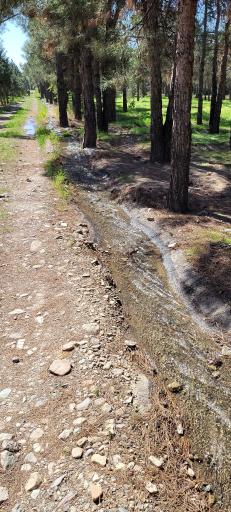 بوستان جنگلی خرگوش دره