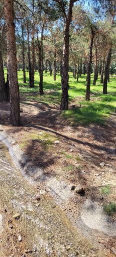 عکس بوستان جنگلی خرگوش دره