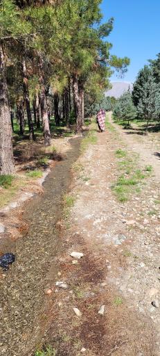 بوستان جنگلی خرگوش دره