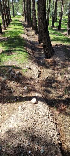 بوستان جنگلی خرگوش دره