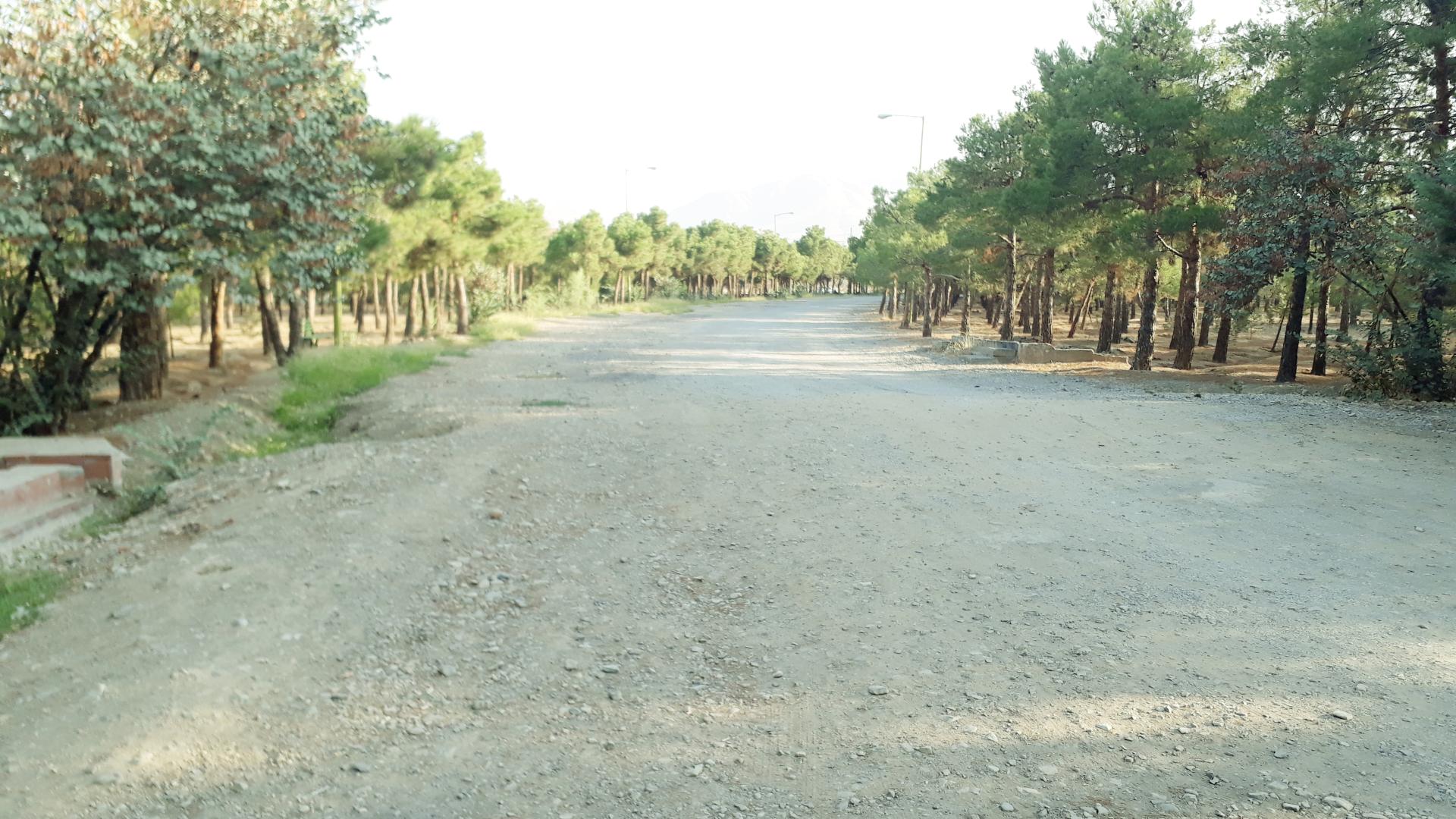 عکس بوستان جنگلی خرگوش دره