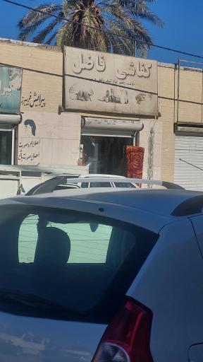 عکس کفاشی فاضل