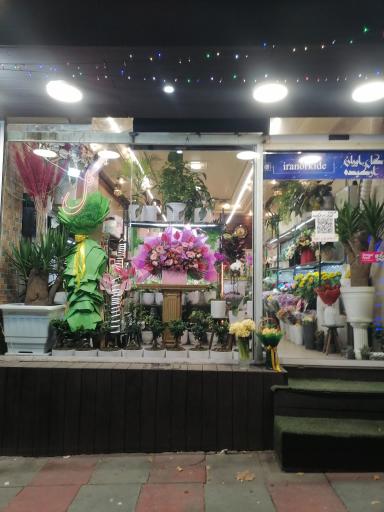عکس گلسرای ایران ارکیده